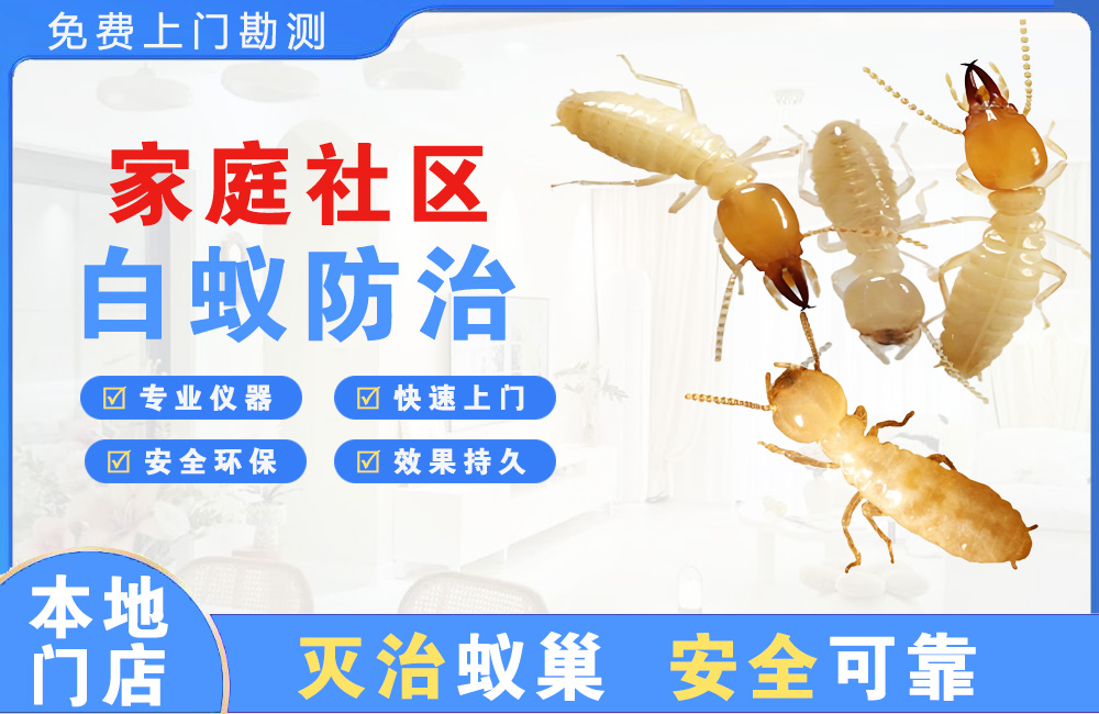 天门家庭社区白蚁防治