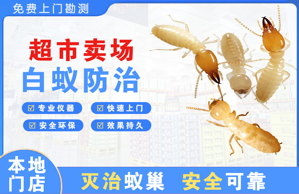 天门超市卖场白蚁防治