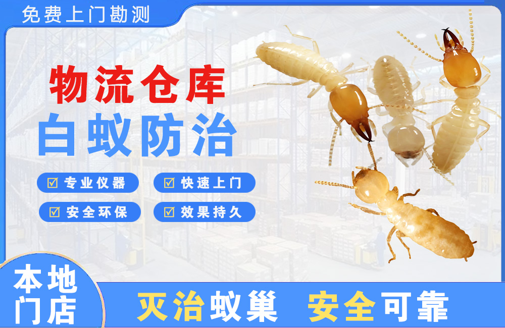 天门物流仓库白蚁防治