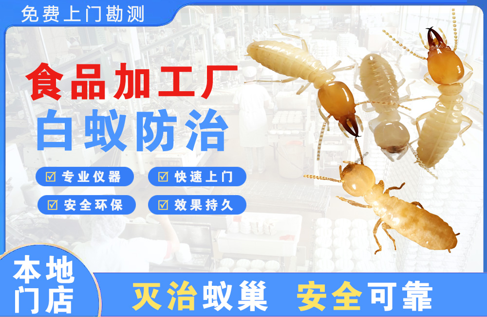 天门食品加工厂白蚁防治