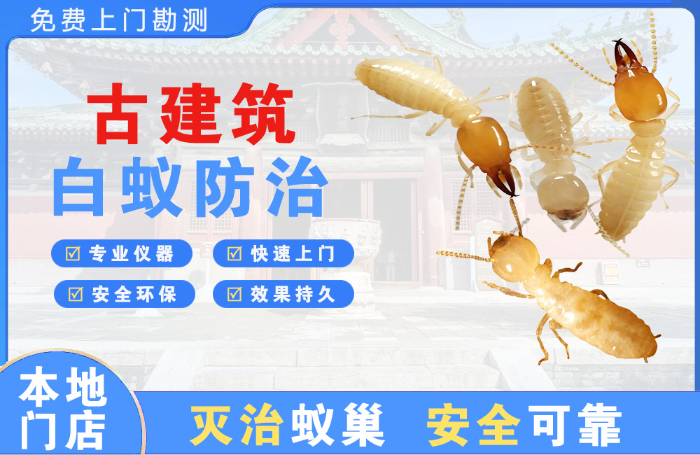 天门古建筑白蚁防治